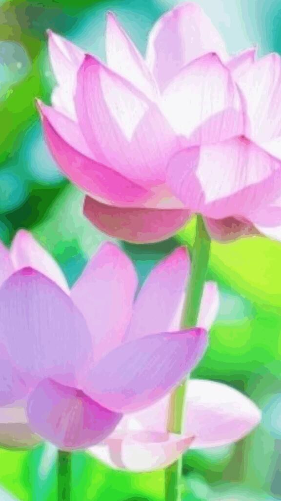 ☆ありがとう☆
