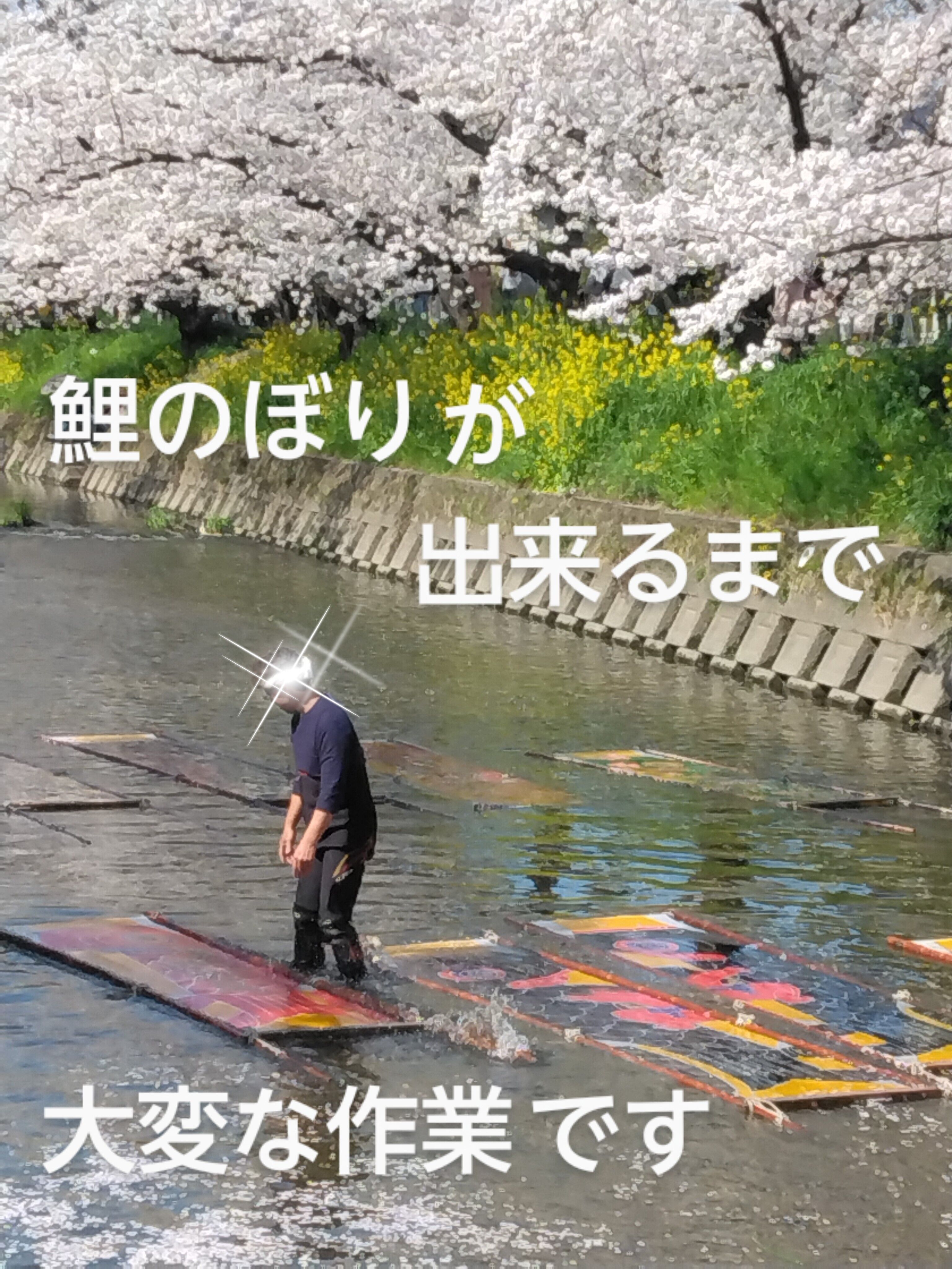 こどもの日&#127887;＼(^o^)／