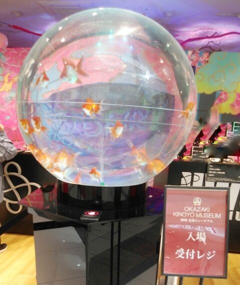 &#9313;金魚ミュージアム