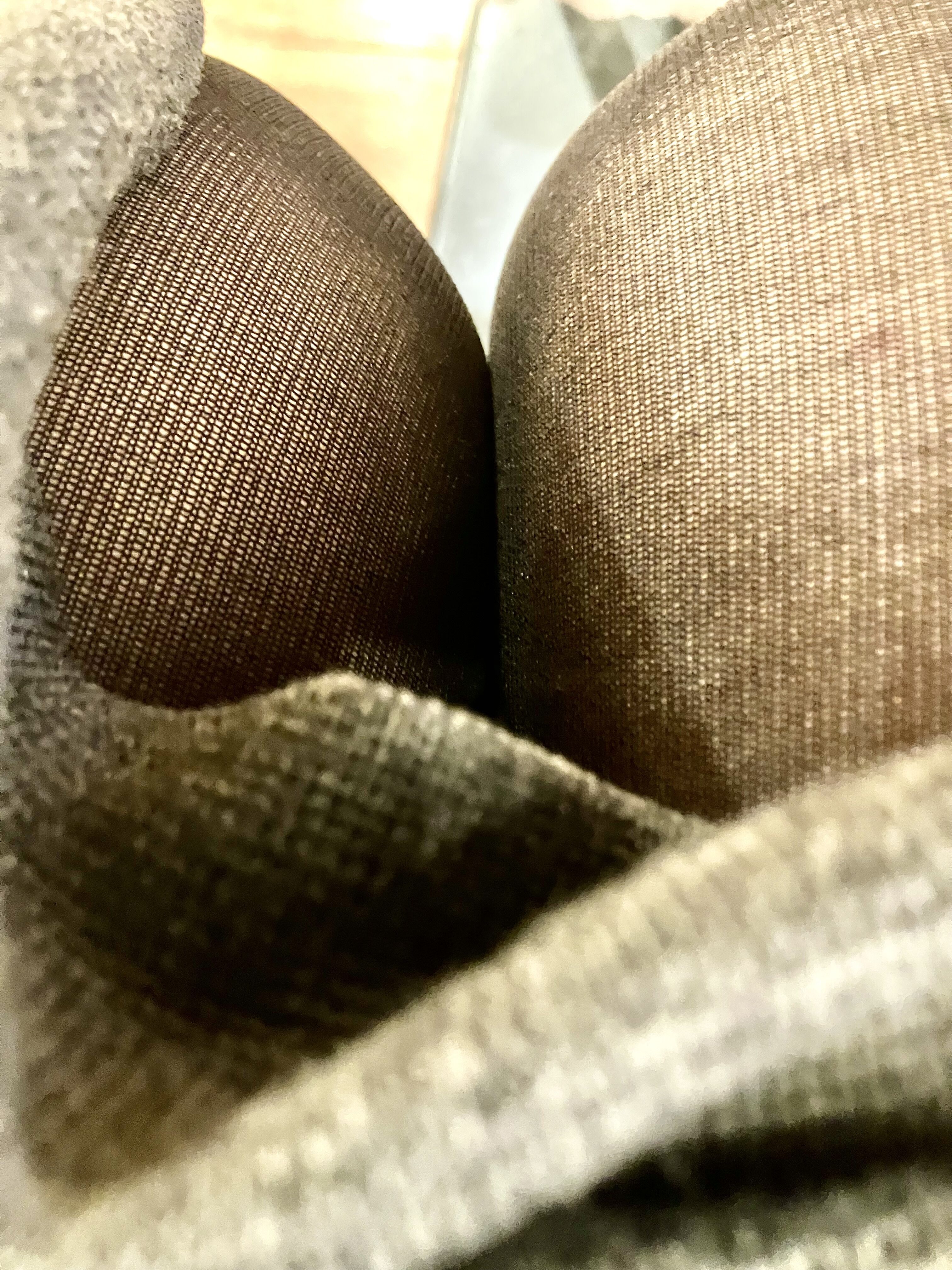今日は