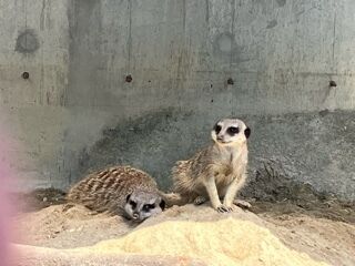 久しぶりの…♡