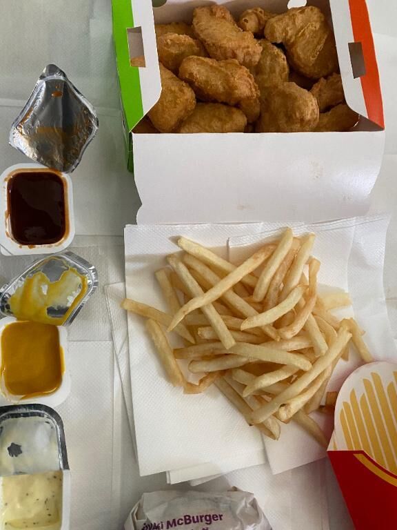 お家マックピクニック♡
