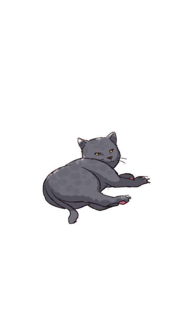 【アニマル診断】今日の運勢ランキング
