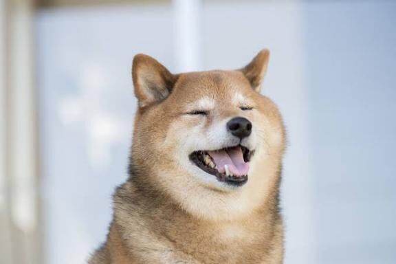 こんにちは❤️
