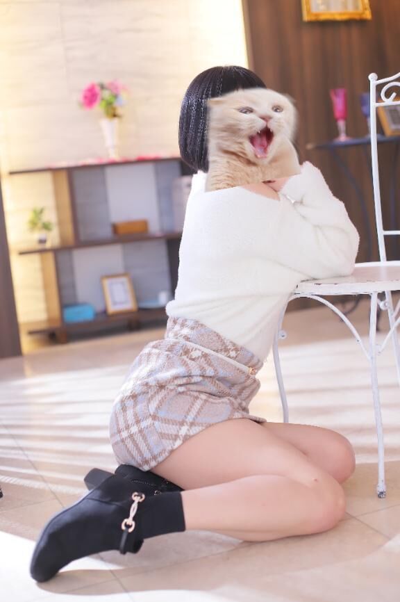 ݷާ