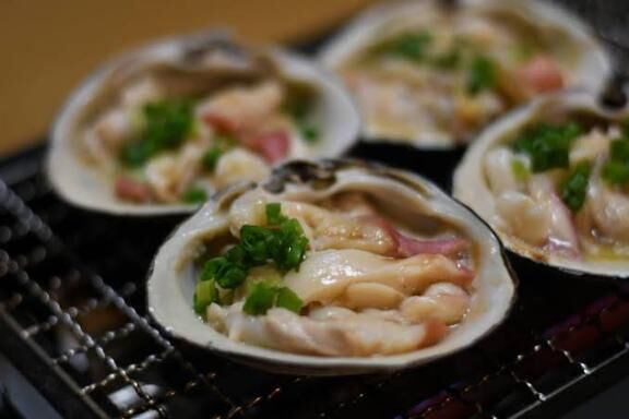 貝がすきです