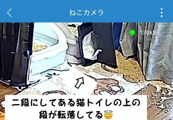 うわー！