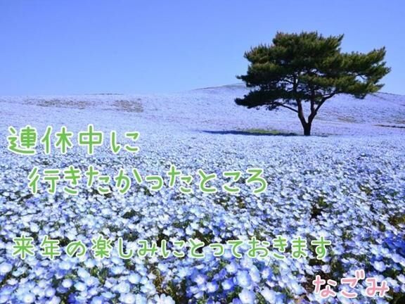 こんばんは