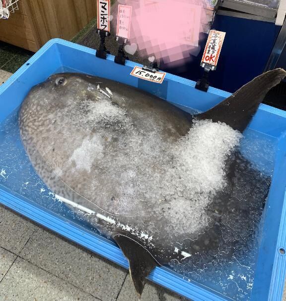 帰ってきたよ&#x301C;！