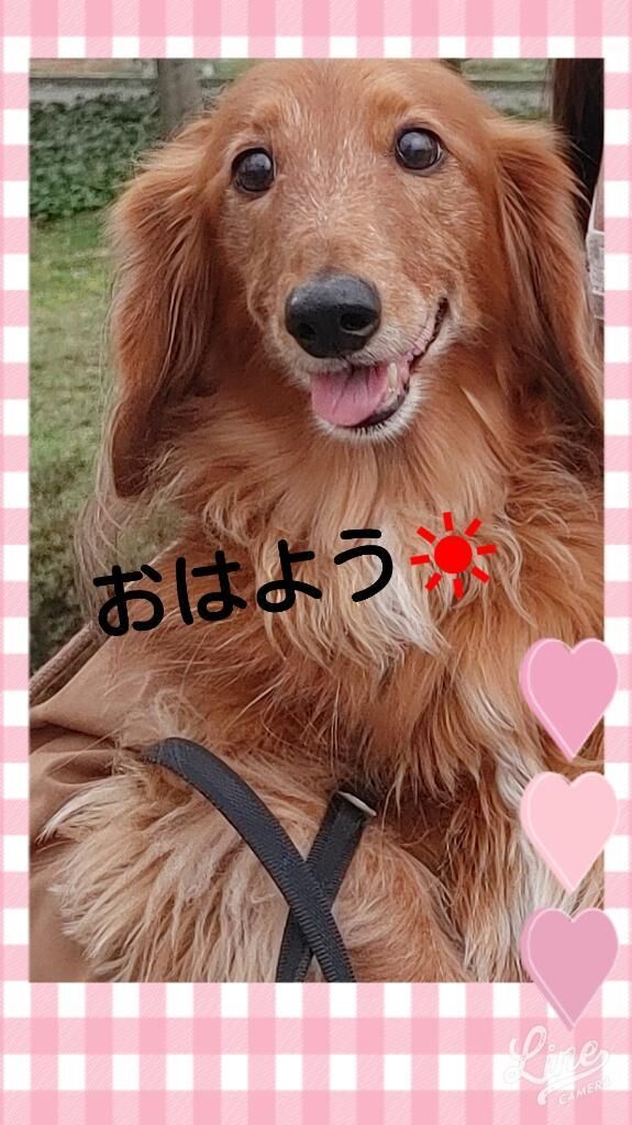 おはようございま―す&#9825;&#9825;&#9825;&#9825;&#9825;&#9825;&#9825;