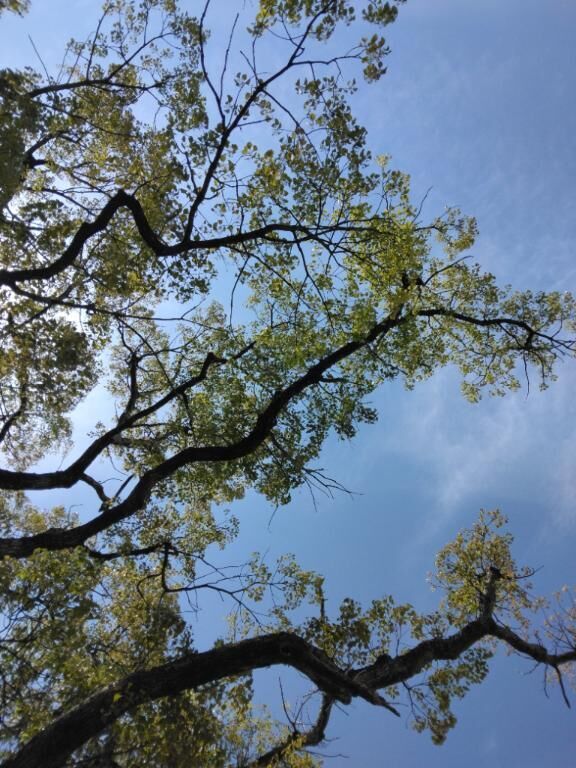 明日、延長します&#128588;
