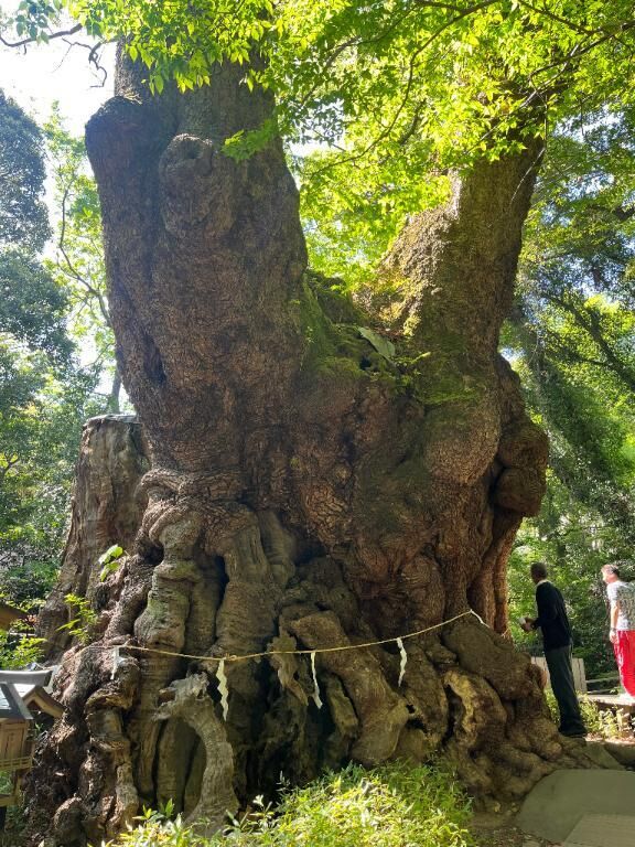 こんにちは！