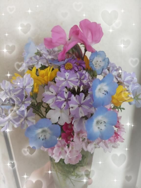 お休みです…(^^)ノ