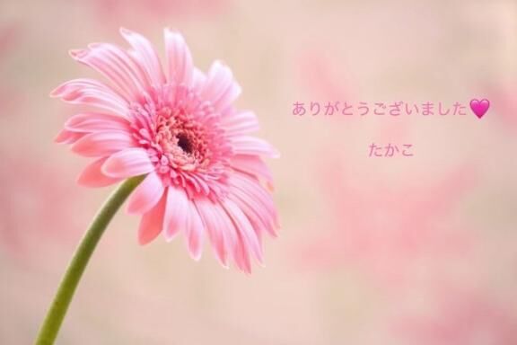 ありがとうございました&#9825;