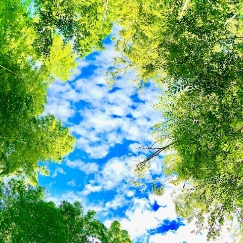 ありがとうございました&#9825;