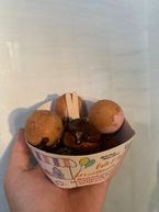 こんばんは