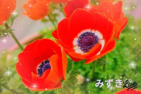 おはようございます&#9825;