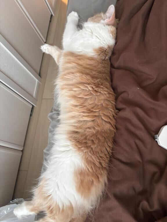 AM&#9825;