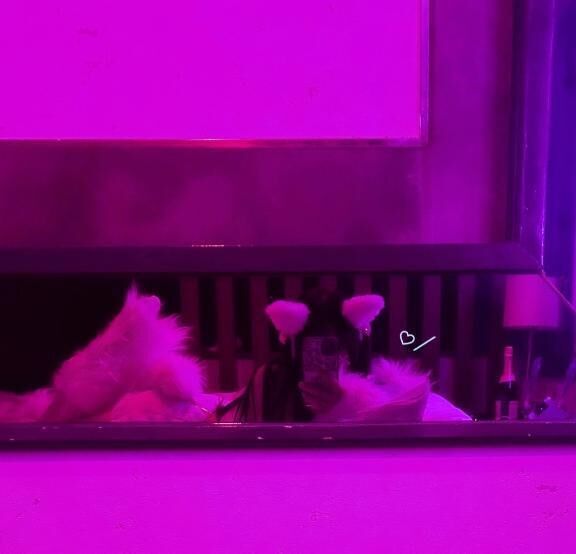 会いに来てください&#128147;&#9786;&#65039;