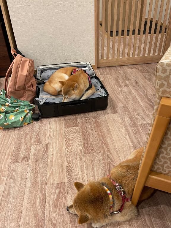 荷物出したいのに