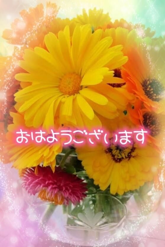 (⌒▽⌒)