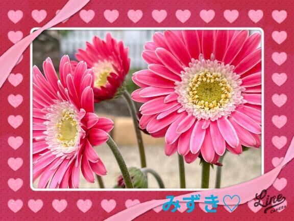 おはようございます&#9825;