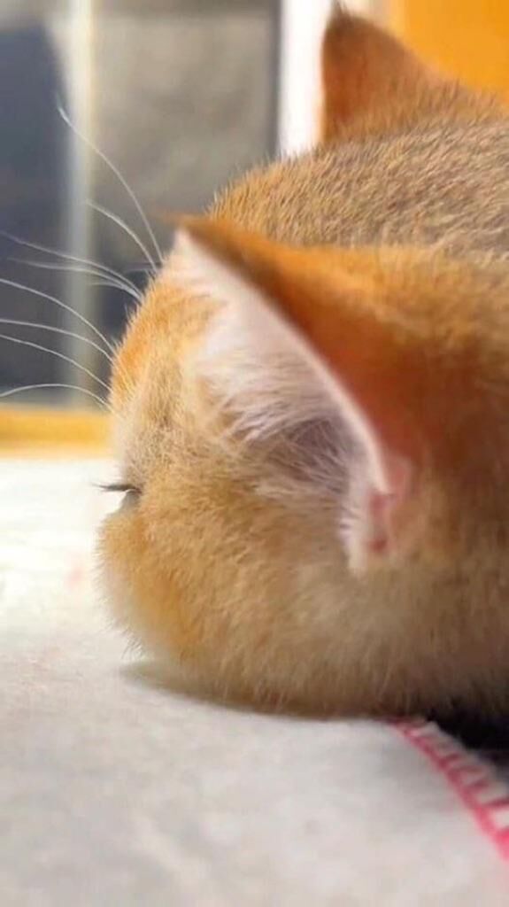 家庭の事情で&#128591;&#127995;
