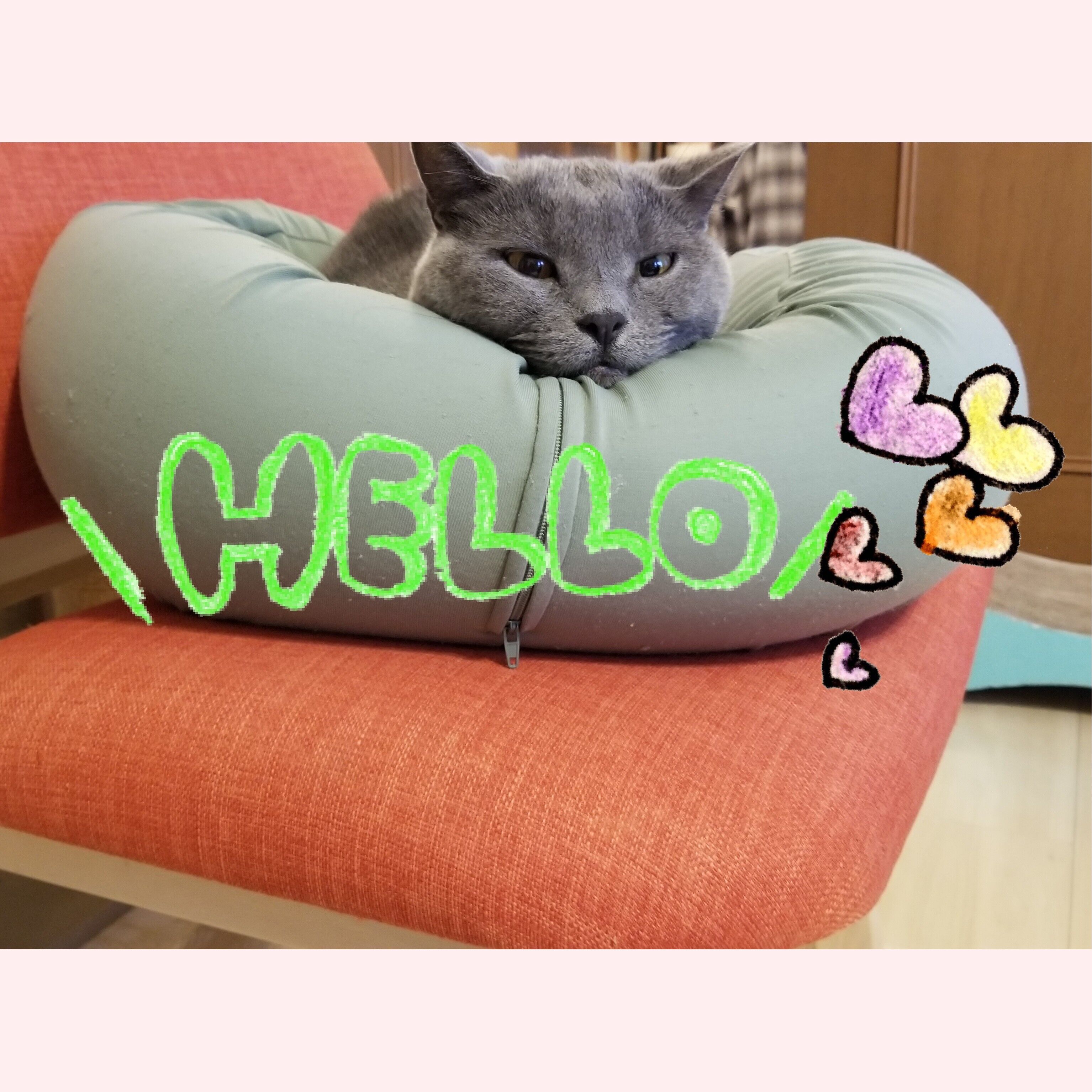 おはようございます
