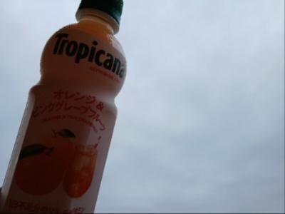 ＊おはようございます＊