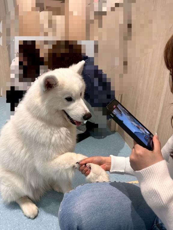 わんわん&#128054;