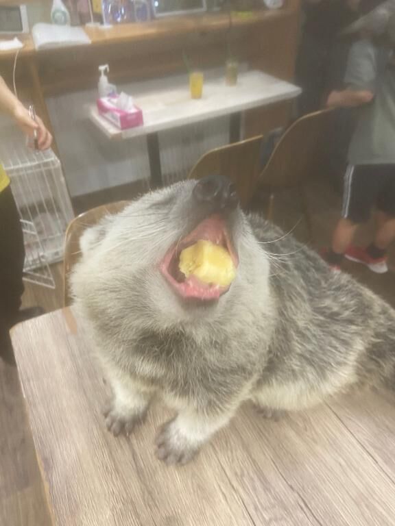 お弁当ハラスメント