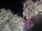 こんにちは