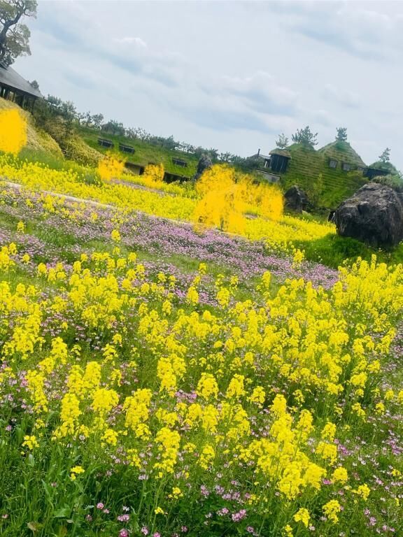 おはようございます&#9825;&#9825;