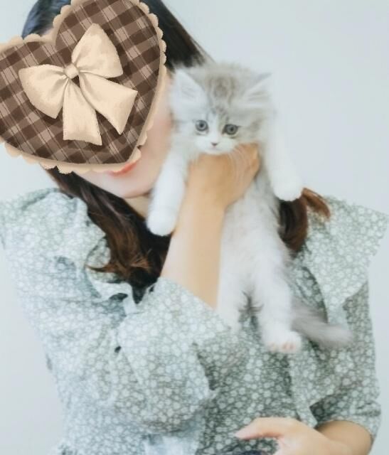 急ですが…&#9825;