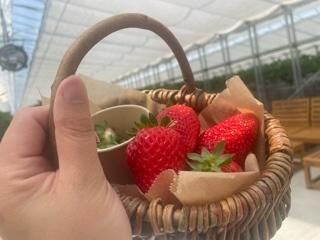 あかーい