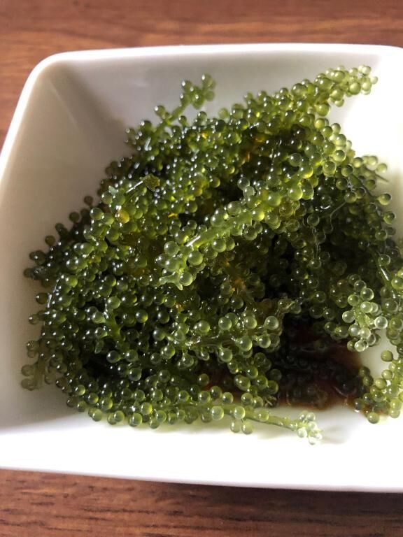 はじめて(２)