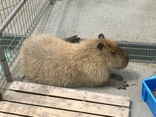 くれないの…&#9825;