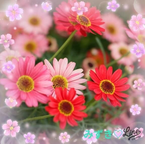おはようございます&#9825;