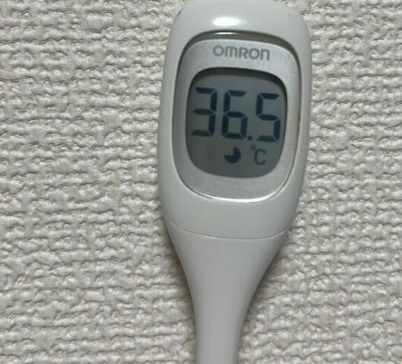 今日の体温