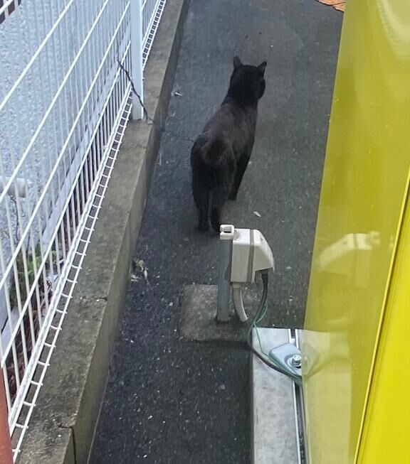 &#128570;