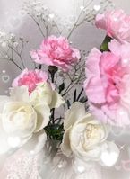 こんばんは☆