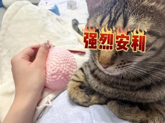 なに作ってるでしょう