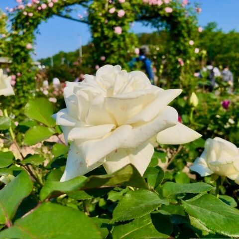 ありがとうございました♡