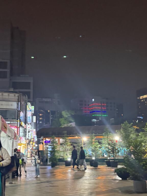 夜のお散歩