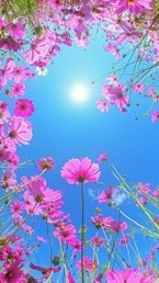 おはよう♡♡
