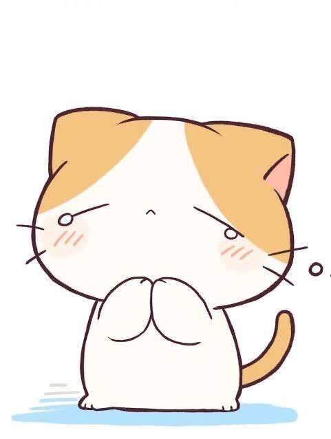 ごめんなさい&#128557;