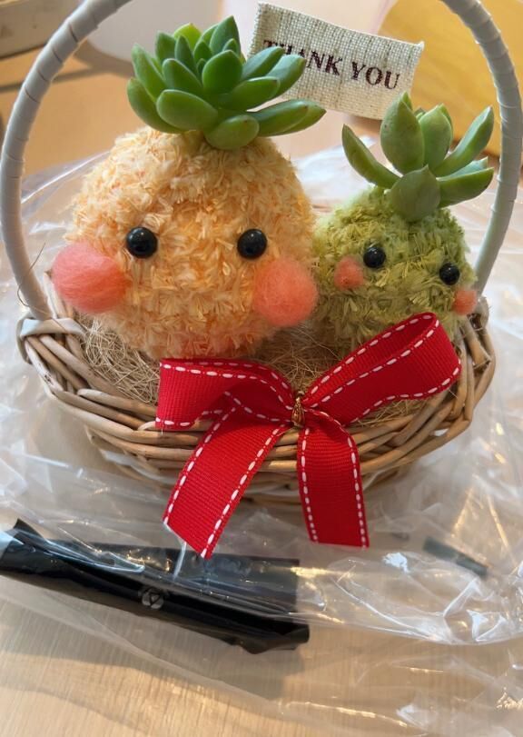 母の日&#128144;
