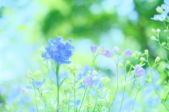 土曜日15:20・お礼