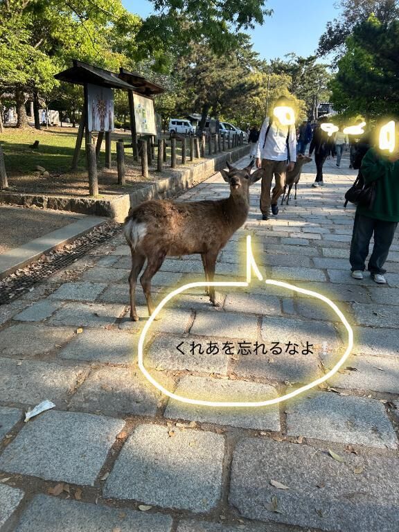 ありがとうございました&#10024;