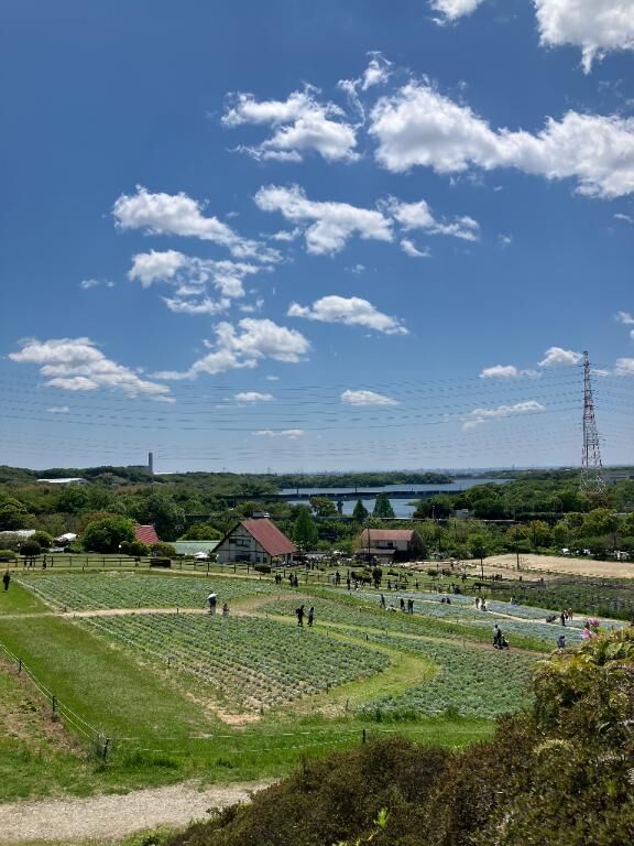 出勤日♪